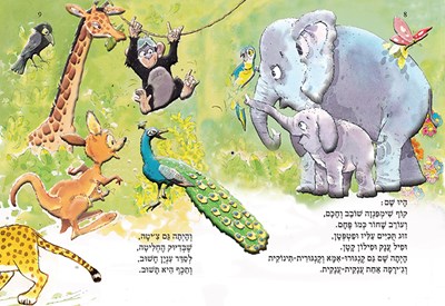 טווסוני אין כמוני2